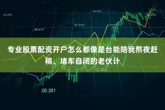 专业股票配资开户怎么都像是台能陪我熬夜赶稿、堵车自闭的老伙计